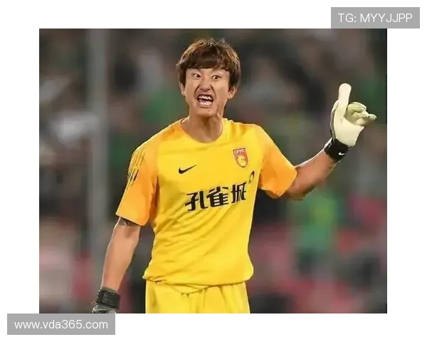 2006年中国足球球星风采回顾与成就分析