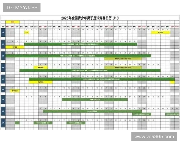 少为足球之星的崛起与未来潜力分析：从青训到国际赛场的成长轨迹